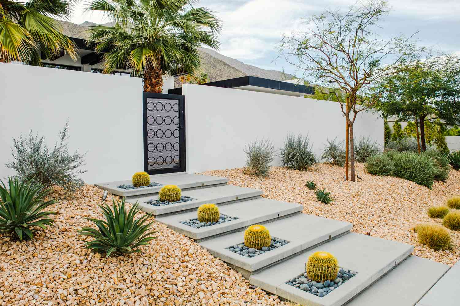 Full yard desert conversion