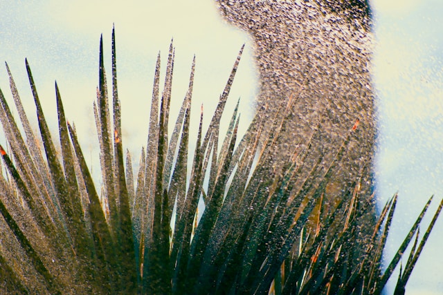 Irrigation system in desert landscape